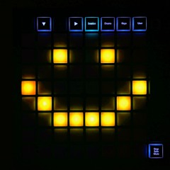 Steve Reich Tripping Balls