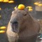 capybara 💪