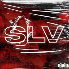 Slv_graph