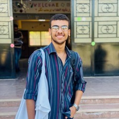 Asem Rmehy