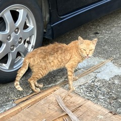 うひょ〜