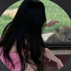 🐆.