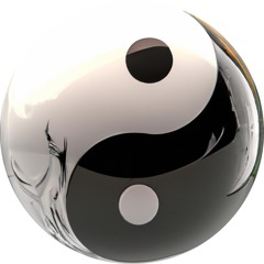 o516x