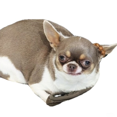 Qin_niQ@byyb.radio2025-09-20