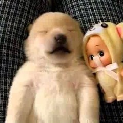 세은