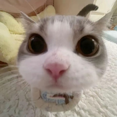 artemsyd