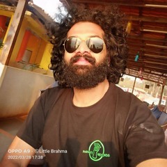 little_brahma_