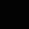 vviksonn