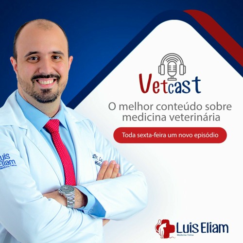 Luis Eliam’s avatar