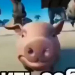 mxcck
