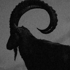 Muhammad Rio Fadhillah