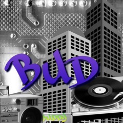 Bud_C11