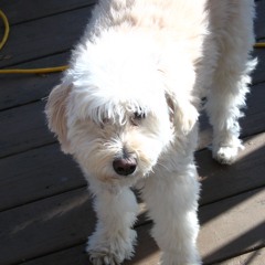 i felt the sun today