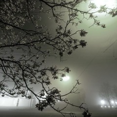 silentlove