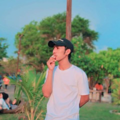 A L D I N
