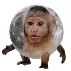 𝒩𝒶𝓃𝒾 🫶🏼