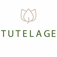 Why Language, Science, and Math Tuition Is Important?