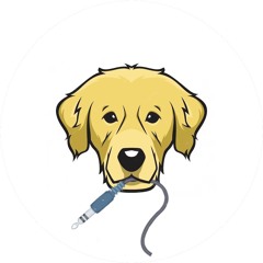 Spacedog Recording Studio