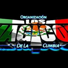 ORG. LMDLK NEWBURGH NY