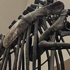 шпильбрехер