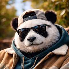 ChillPanda72