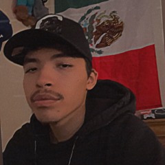 luisie.408