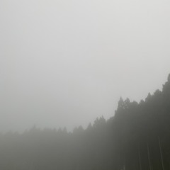 viral sounds (&experience)