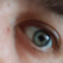 polishigel The.EIof SsTillSCHWEIGER