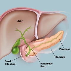 Pancreas of the deceased
