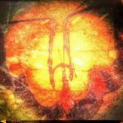 WORLDDOMINATIONIZDAFLYESTNDANATION!