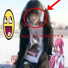 xyqn