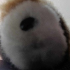 einar