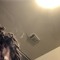 LIONBREED
