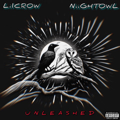 LilCrow & Niightowl