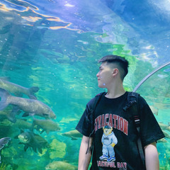 Anh Nguyễn Việt