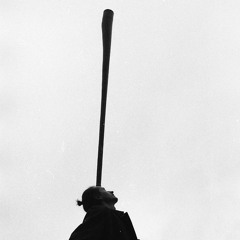 Seba