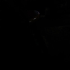 B9