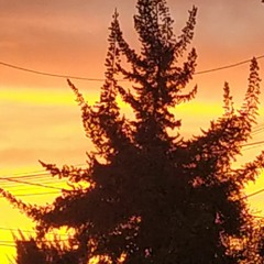 Que pides tu - Alex ubago