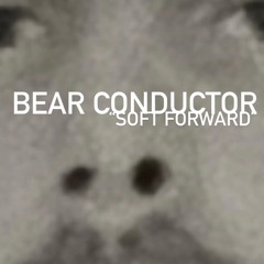 bear conductor