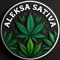 𓋹Aleksa_Sativa𓂀