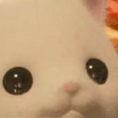 no