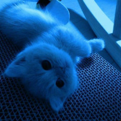 Yumi