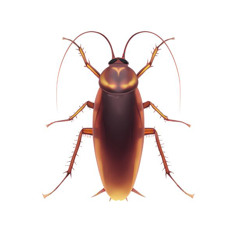 michael cockroach