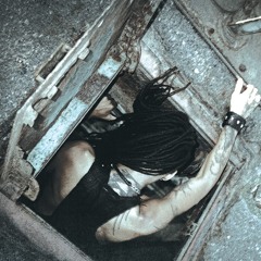 spine