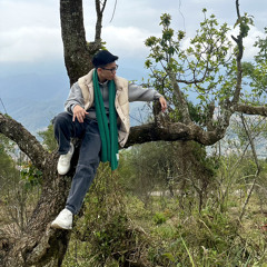 Koe