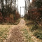 field
