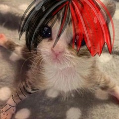 че это нахуй