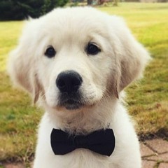 ease w/ spizet (dan darmawan)