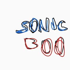 Team Sonic Boom