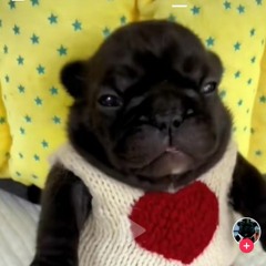 .. - / .. ... / .. -